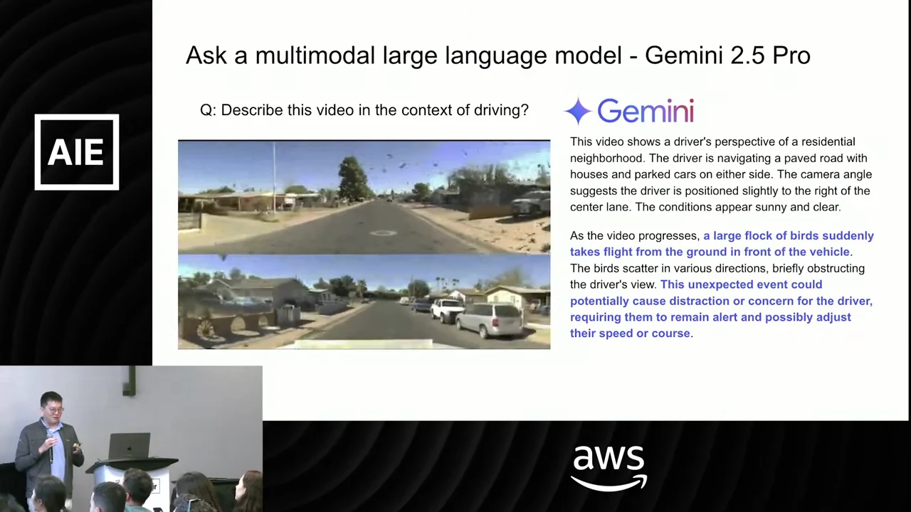 Gemini 2.5 Pro slide with two residential-road images, birds visible in the upper image, and a response highlighting the flock and possible driver reactions.
