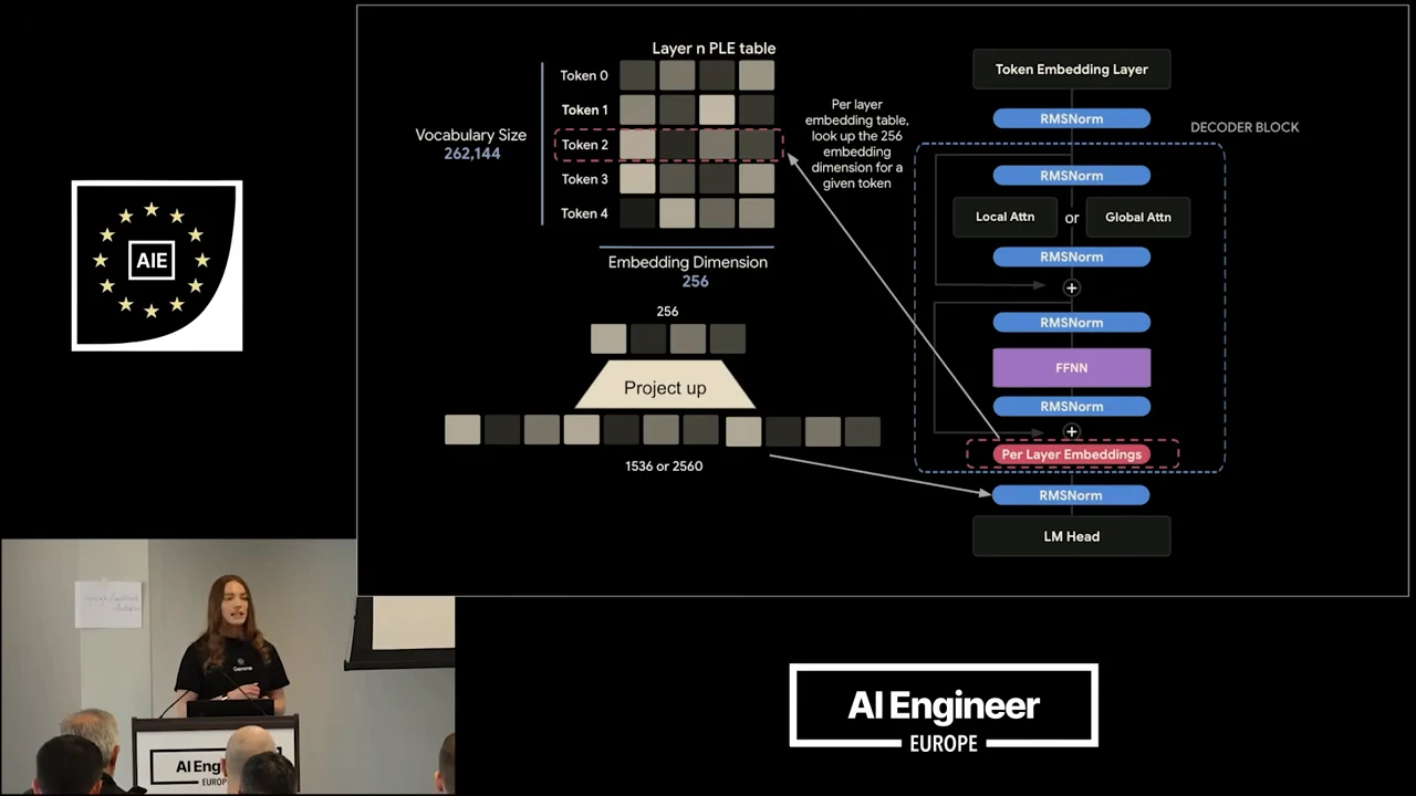 Diagram connects a highlighted token row in a per-layer embedding table to a 256-dimensional vector, a Project up step, and the Per Layer Embeddings component in a decoder block.