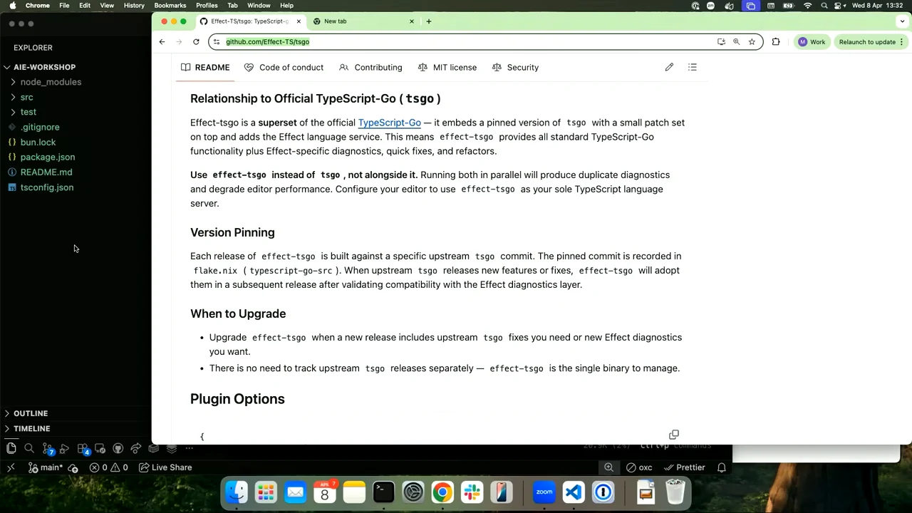 GitHub README showing Relationship to Official TypeScript-Go, Version Pinning, and When to Upgrade above the Plugin Options heading.