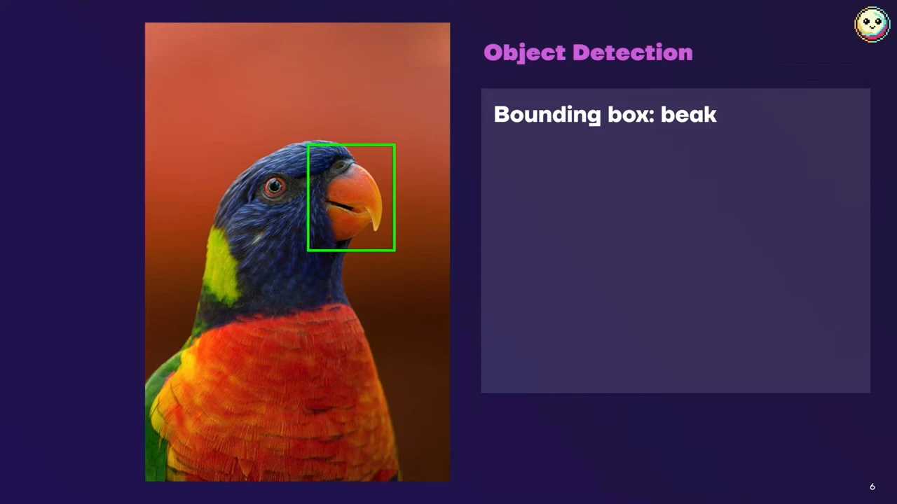 A parrot with a green rectangle around its beak, beside an Object Detection panel labeled “Bounding box: beak.”